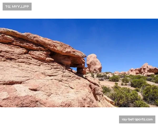 玻利维亚高原主场优势明显 特殊场地条件成战略资源